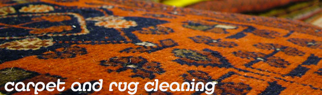 carpet and rug cleaning