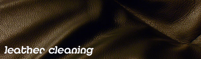essex leather cleaning